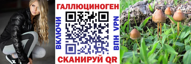Псилоцибиновые грибы мицелий  Правдинск 